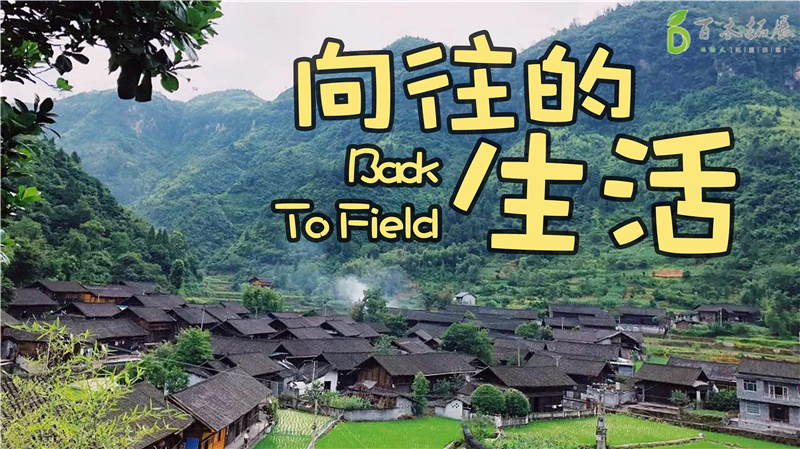 要会工作 也要会生活