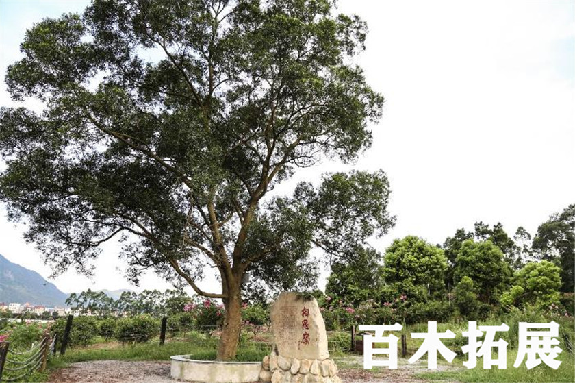 生态农业基地-相思岭，平潭旅游景点攻略、平潭团建基地、平潭拓展公司