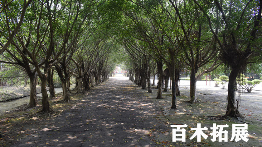 天生林艺,福州拓展基地,福州拓展基地介绍 世外桃源-天生林艺-福州拓展基地,平潭旅游景点攻略、平潭团建基地、平潭拓展公司