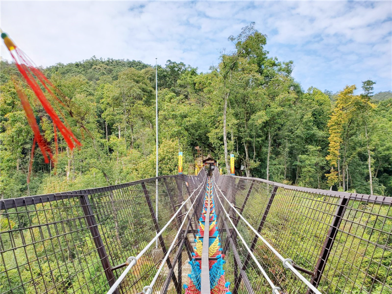 原始森林-金光湖-厦门拓展基地
